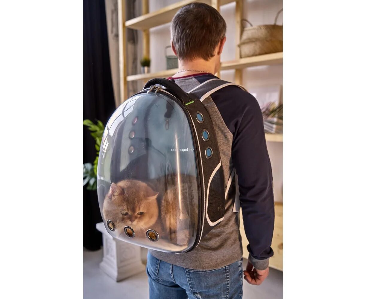 Купить рюкзак переноску для кошек. Рюкзак-переноска для кошек Xiaomi PETKIT Fresh Wind Cat Backpack. Прозрачный рюкзак для кота. Прозрачная переноска для кошек. Прозрачные переноски для котов.