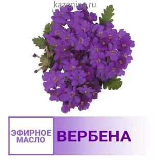 Масло вербены