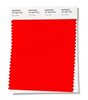 Pantone mushroom