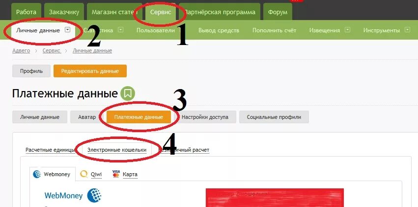 Платежные данные. Как вывести с Адвего. Как вывести деньги с Адвего на киви. ЧЕКСКАН как вывести деньги. Как вывести деньги с вб через сайт