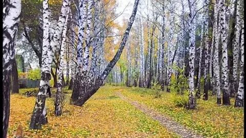 Желтою резьбой блестят в лазури голубой