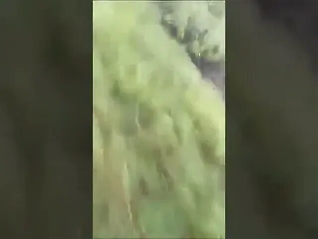 Вагнер идет в курск