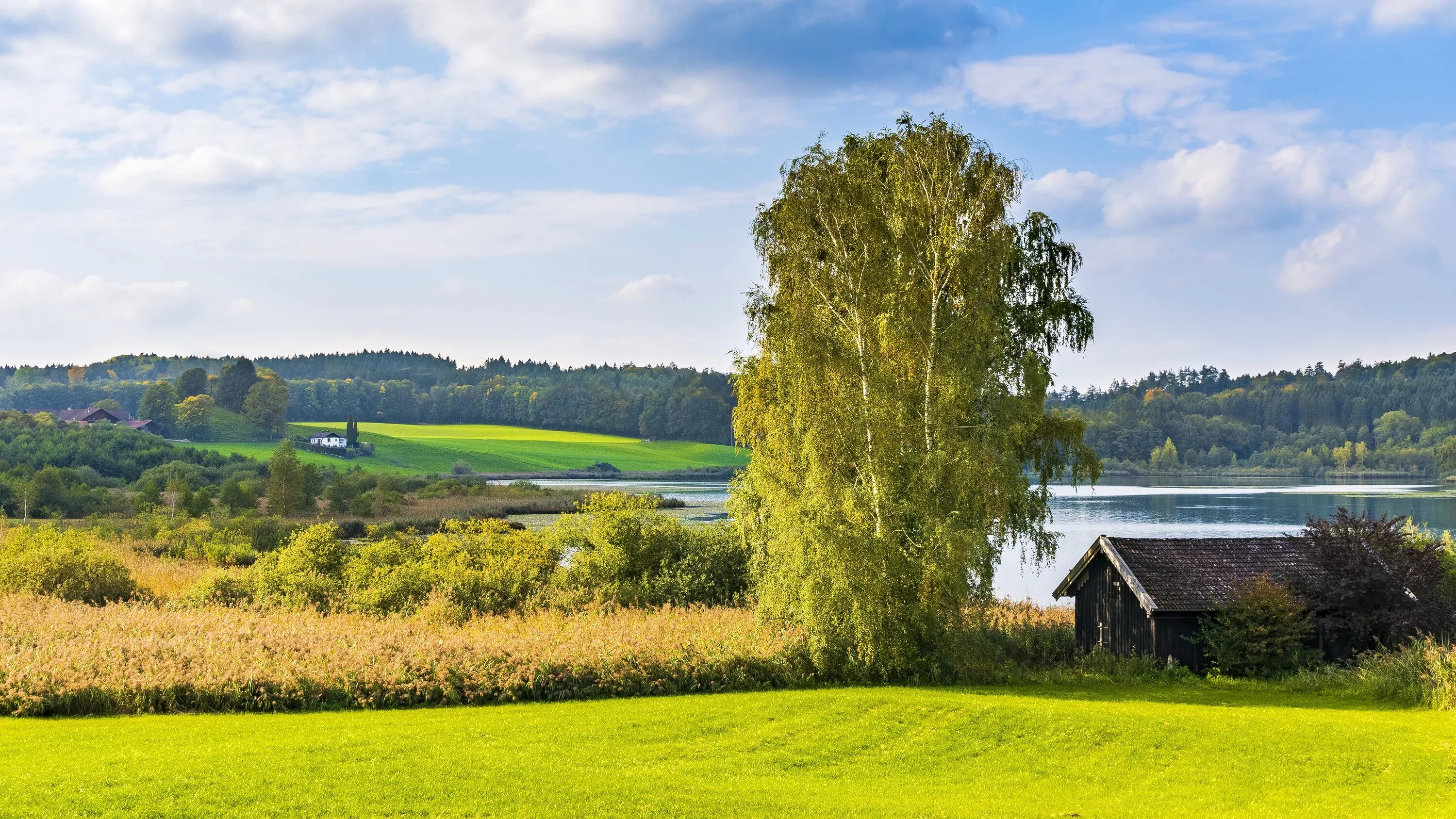 Русская природа к г. Природа лес река деревенский дом березы. Российские просторы березы Есенин. Домик берёзка озеро деревня. Озеро Березовое Березово.