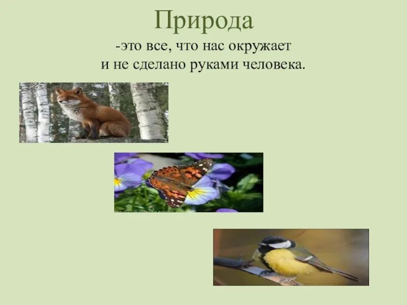 Окружающему миру разнообразие природы родного края. Разнообразие природы. Разнообразие природы родного края. Проект по окружающему миру природа родного края. Проект разнообразие природы родного края.