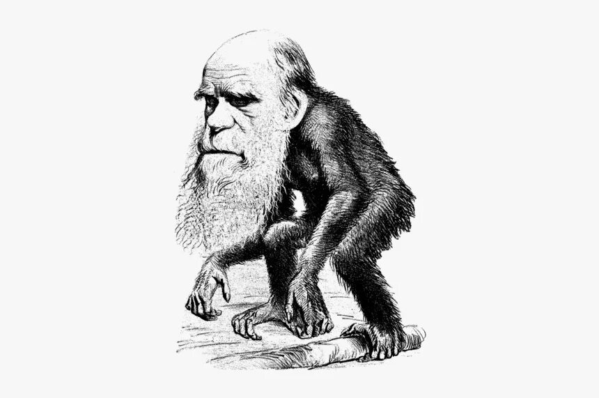 Дарвин рисунок. Дарвин рисунок. Дарвин рисунок. Дарвин иллюстрации. Дарвин рисунок.