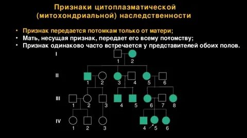 Цитоплазматическое наследование