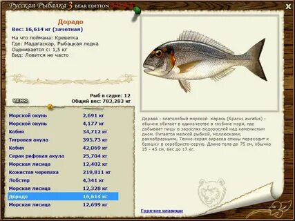 Дорадо калорийность