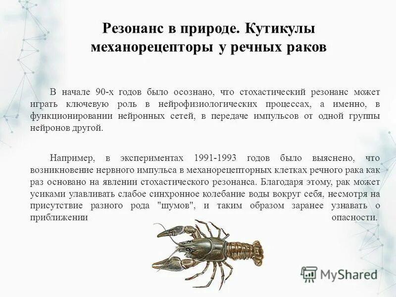 Речной рак особенности. Резонанс в природе примеры. Проявление резонанса в природе. Резонанс в природе презентация. Резонанс в природе кратко.