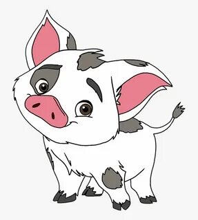 Pua