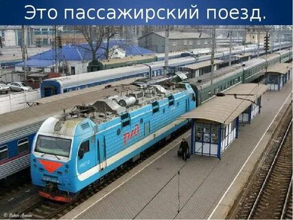 Птичьи имена поездов ржд