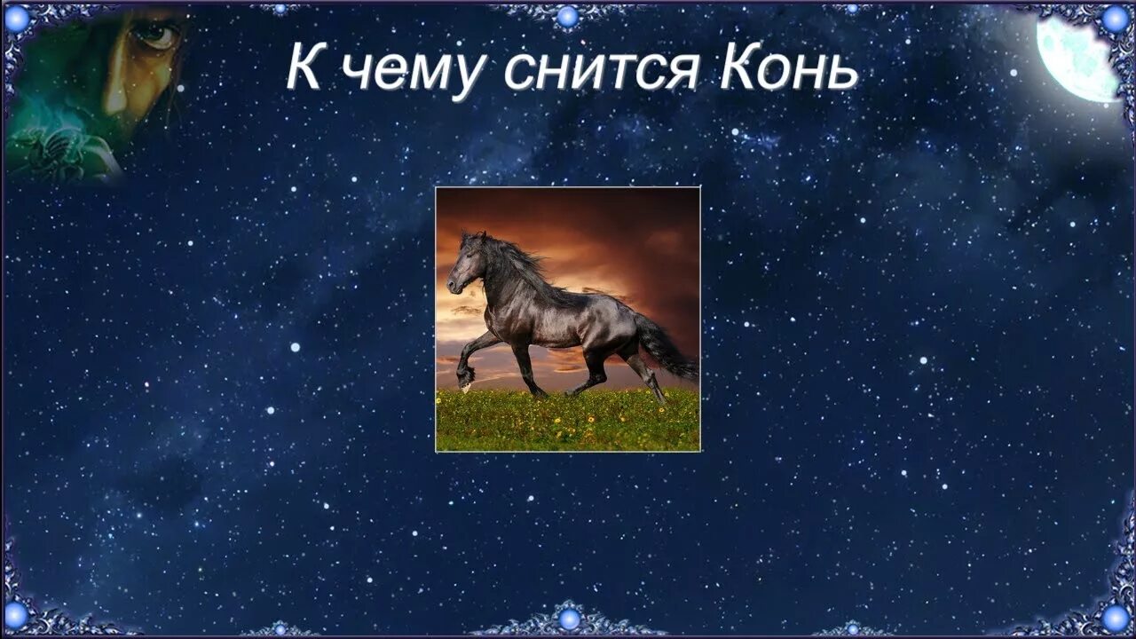 Приснился конь. Лошадь во сне. Лошадь во сне к чему снится. К чему сниьтся серная лошалка. К чему снится видеть лошадь