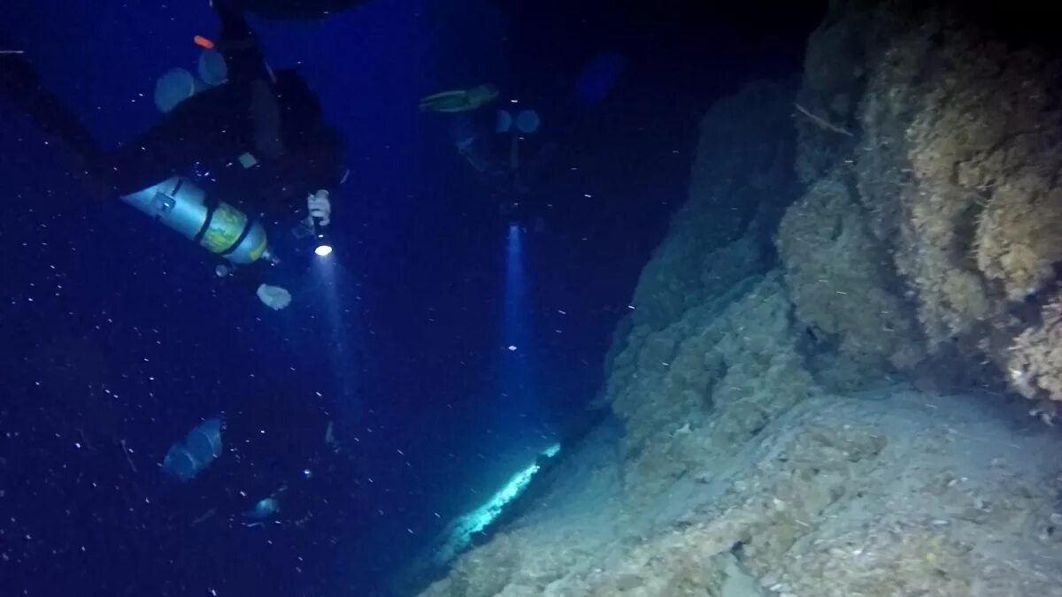 кладбище дайверов. подводный музей дахаб. блю холл кладбище дайверов барбара диллинджер. барбара дахаб. кладбище на дне океана.