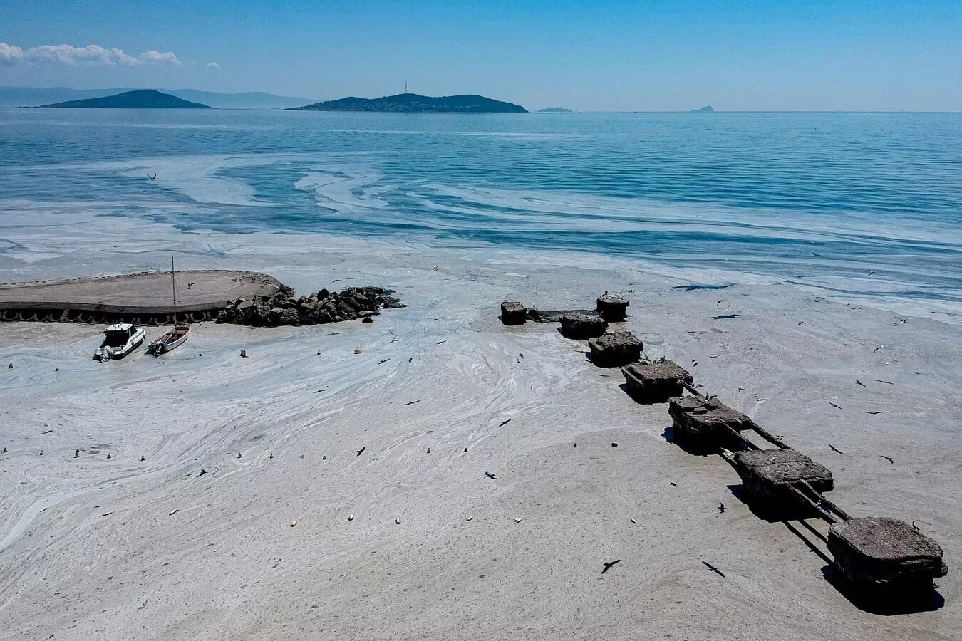 Гибнущее море. Мраморное море катастрофа. Мраморное море экологическая катастрофа. Мраморное море водоросли. Мраморное море в Турции.