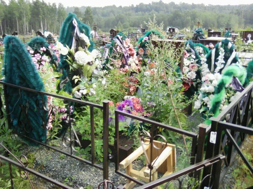 Матусово забайкальский край. Погода матусова. Погода матусова. Погода матусова. Погода матусова.