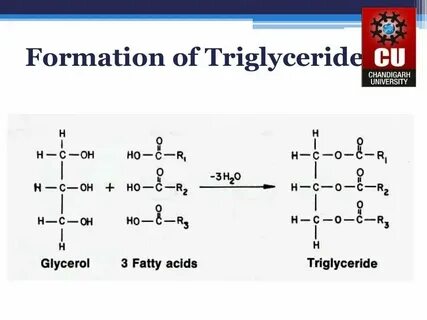 Caprylic capric triglyceride что это