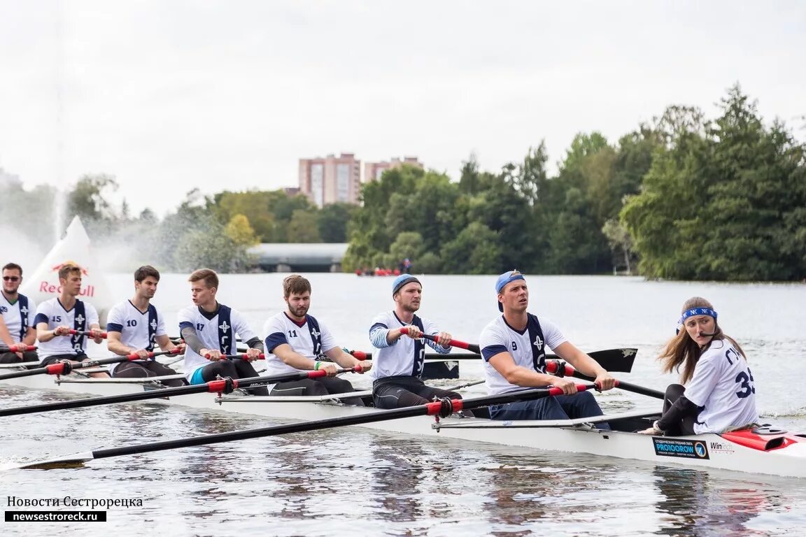 дубки теннис, сестрорецк. спортивный сестрорецк. теннисная школа спартака. 268 а. тренажерный зал парк дубки.