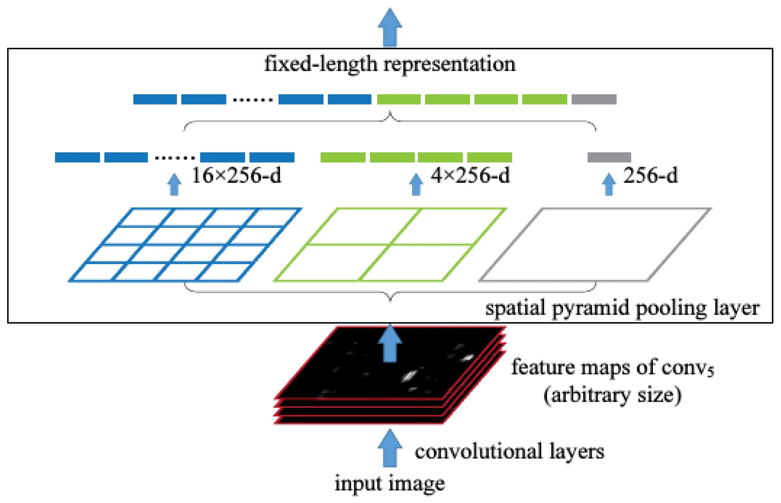 T pooling. Spatial pyramid pooling. pooling layer. pyramid pooling network. atrous spatial pyramid pooling.