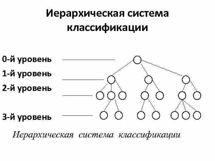 Иерархического соподчинения элементов нервной системы. Иерархическая система классификации. Схема иерархического метода классификации. Принцип иерархической системы классификации информации. Иерархическая модель данных схема.