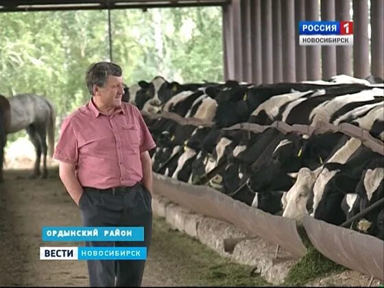 Погода в ордынском районе на 10 дней