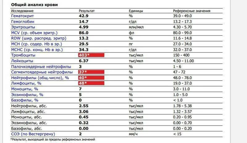 Повышены лимфоциты и нейтрофилы в крови. Норма повышения лимфоцитов в крови. Лимфоциты норма у женщин 38 лет. Норма лимфоцитов и нейтрофилов у детей. Повышенные эозинофилы отзывы