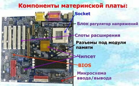 Материнскими называются