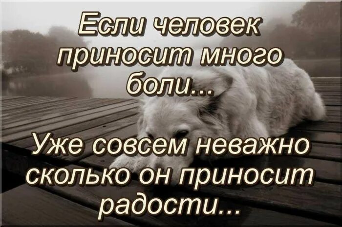 Если человек приносит много боли. Если человек приносит много боли уже совсем. Стихи если человек приносит много боли. Любовь приносит боль. Довольно больше не больно