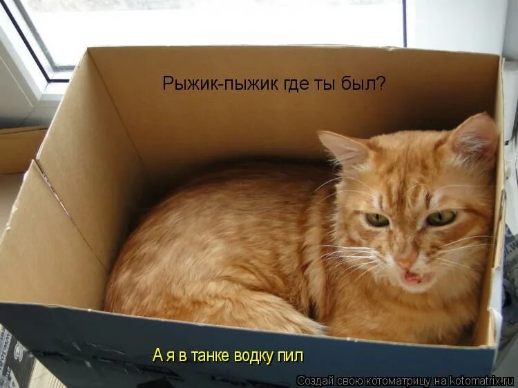 рыжик купюры боже где же их душа. курьер мечтай о великом. рыжик купюры боже где же их душа. счастья в личной жизни. душа моей души.