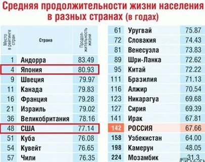 Средний жизни