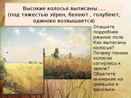 Пересказ косцы бунин