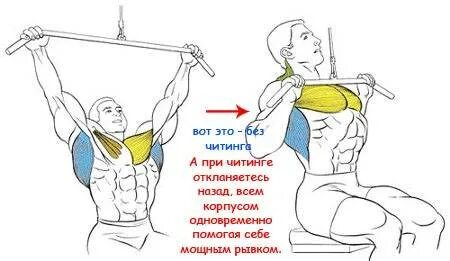 Подъем на бицепс с читингом. Читинг. читинг в бодибилдинге. читинг на бицепс. читинг при подъеме на бицепс.