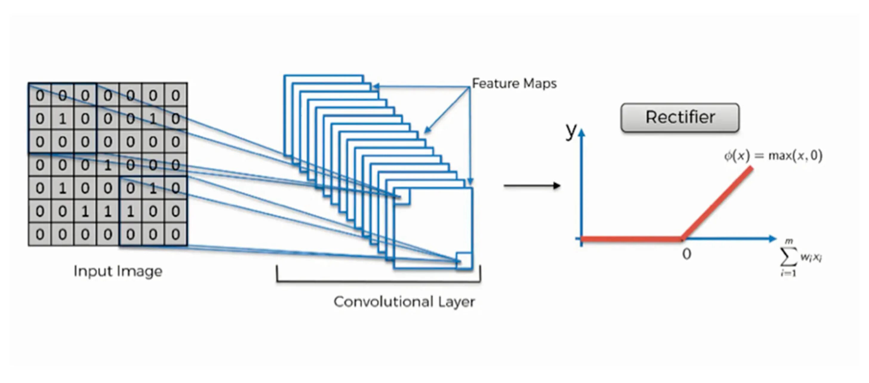 Feature mapping. Feature map примеры. rectifier (neural networks). convolutional функция потерь. feature mapping что это.