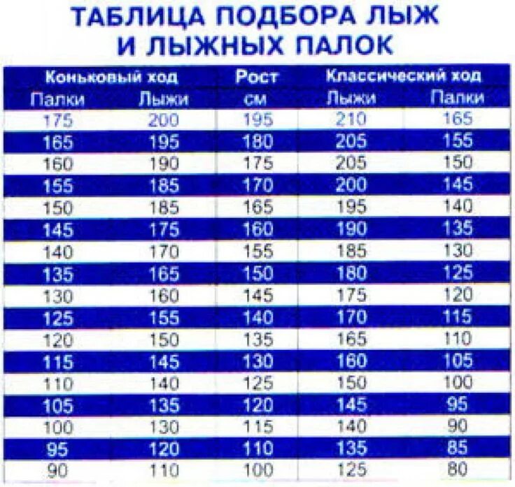 Как выбрать беговые лыжи взрослому. Размер лыжных палок для конькового хода. как выбирать лыжные палки по росту взрослому беговые. подобрать лыжные палки для конькового хода. лыжные палки для конькового хода рост 140.
