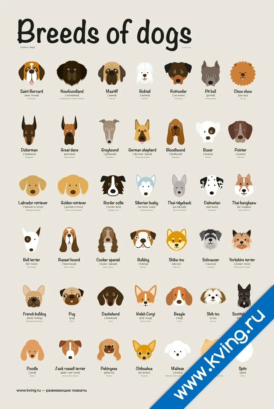 Перевод с английского на русский dogs
