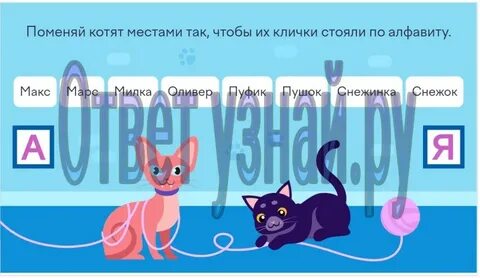 Задача котики в линию