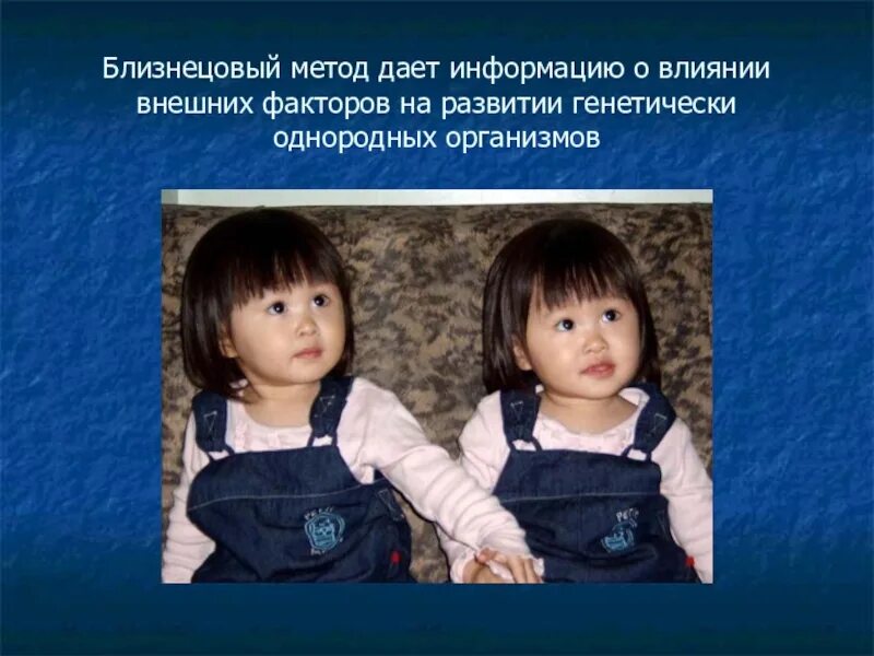 Близнецовый метод генетики. Близнецовый метод генетики человека сообщение. методы биологии близнецовый. близнецовый метод картинки. близнецовый метод рисунок.