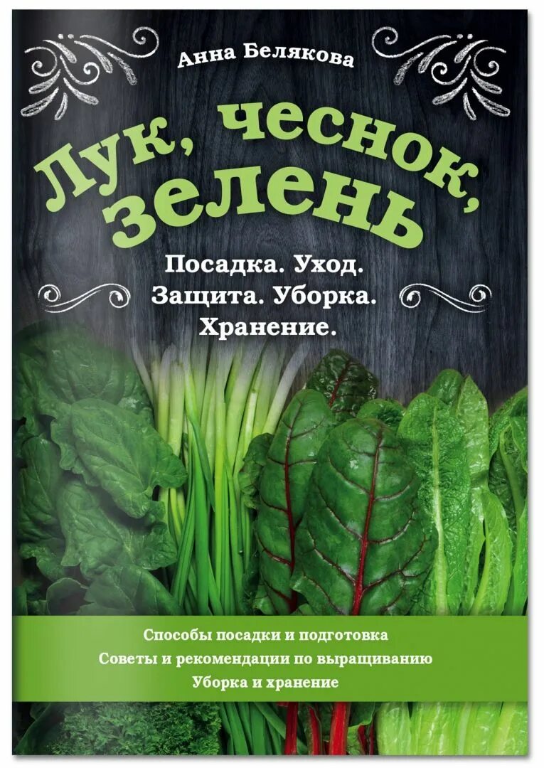 Чеснок надо мыть после уборки на хранение. Лук чеснок зелень. лунный календарь садовода огородника на август 2025.