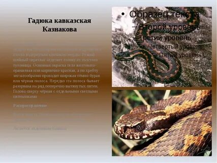 Гадюка среда обитания