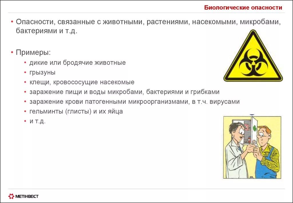 Основные группы опасностей. Биологические опасности БЖД. Биологическая опасность. Биологические опасности примеры. Биологическиееопасности примеры.