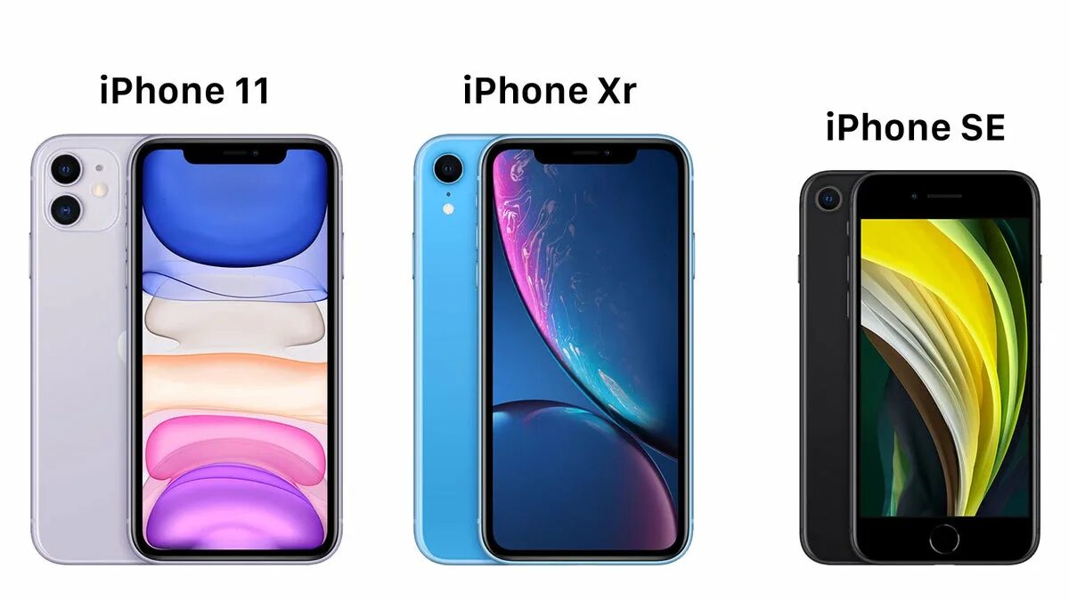 Айфон 11 se. Iphone XR vs iphone 11 Pro. Iphone XR И iphone 11. Iphone 11 vs se 2020. Iphone se 2020 vs XR.