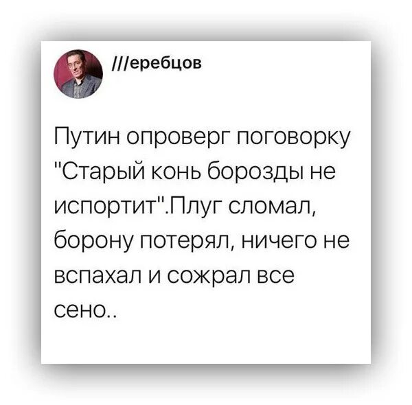 Старый конь борозды не испортит. Пословица старый конь борозды не портит. Цитаты старый конь борозды не портит. Старый конь борозды не испортит продолжение пословицы. Поговорка не испортить