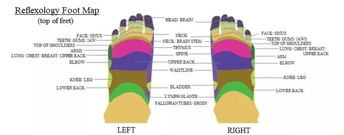 Foot Reflexology Map. Ancient foot Reflexology. Foot Map. Карта фут сделать. Фут карта