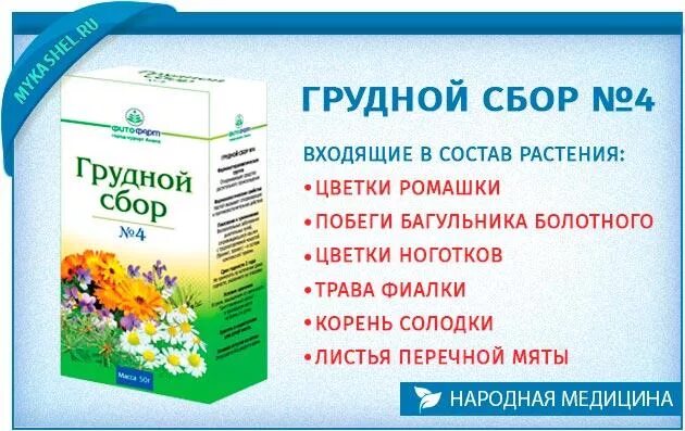 Эффективное отхаркивающее народное средство. Травяной сбор для детей при Сухом кашле. Отхаркивающие лекарственные травы. Травяной сбор для бронхов. Сборы от кашля отхаркивающие.