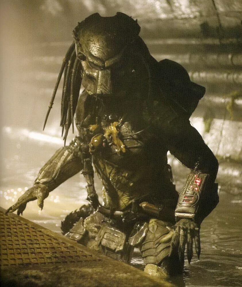 Pin by Mauricio Lozano González on Aliens & Predator Predator movie, Predator al