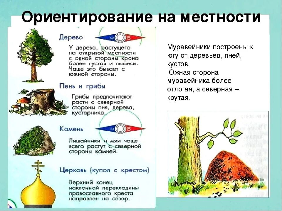 Ориентироваться в первую очередь. Способы ориентирования по местности. 5 Признаков ориентирования на местности. Способы арентирования на местность. Ориентирование на месте.