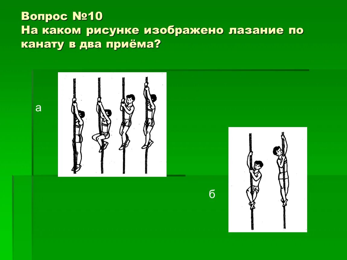 Какие качества развивает лазание по канату. Канат лазание по канату в два приема. лазанье по канату в три приёма. техника лазания по канату в два приема. техника лазания по канату теория.