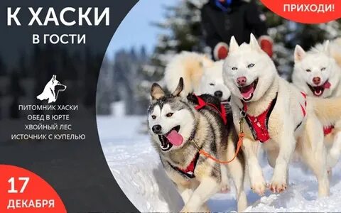 Воскресенье поехали