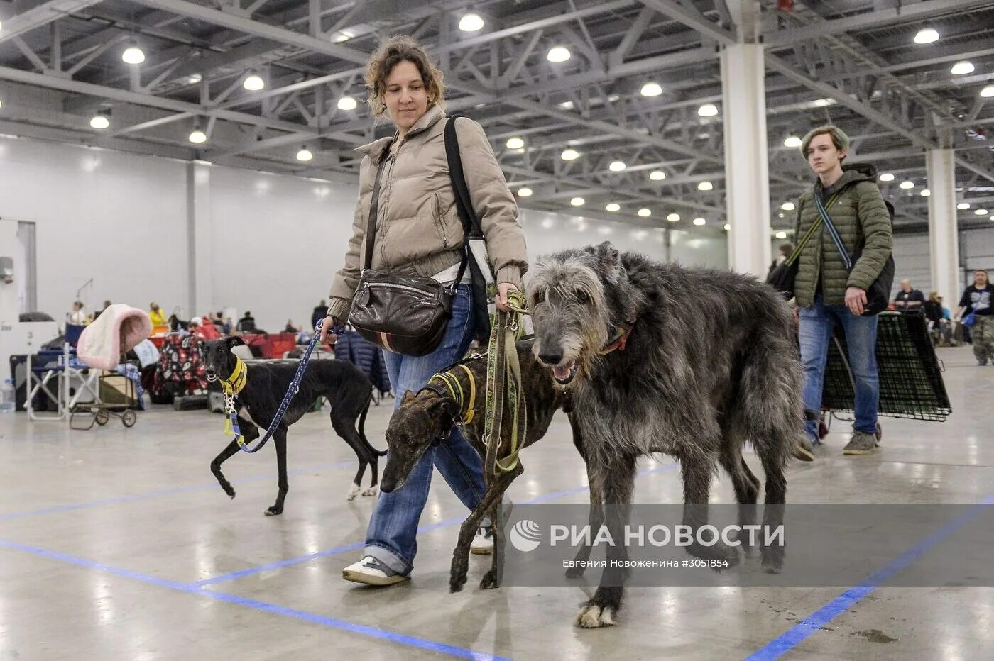 Мужик с собакой в крокусе. Евразия 2020 выставка собак. Крокус Экспо выставки собак. Выставки собак Крокус Экспо 2020. Экспо выставка собак.