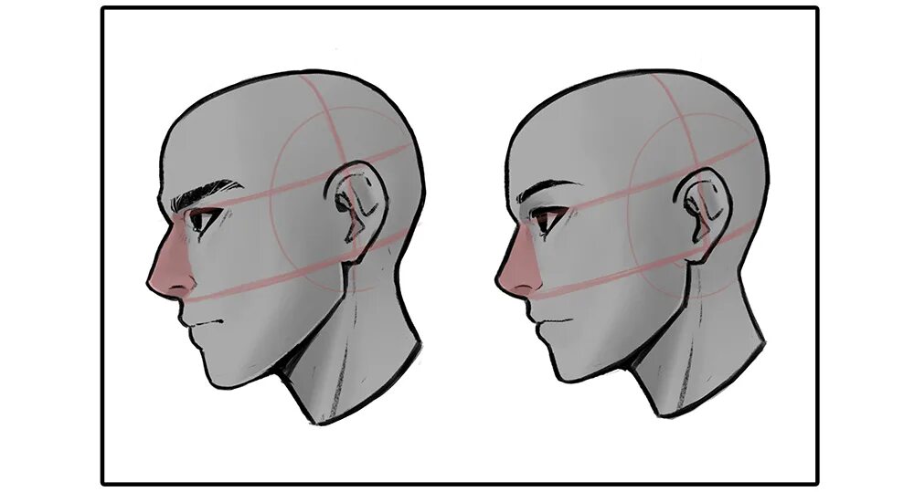 Reference view