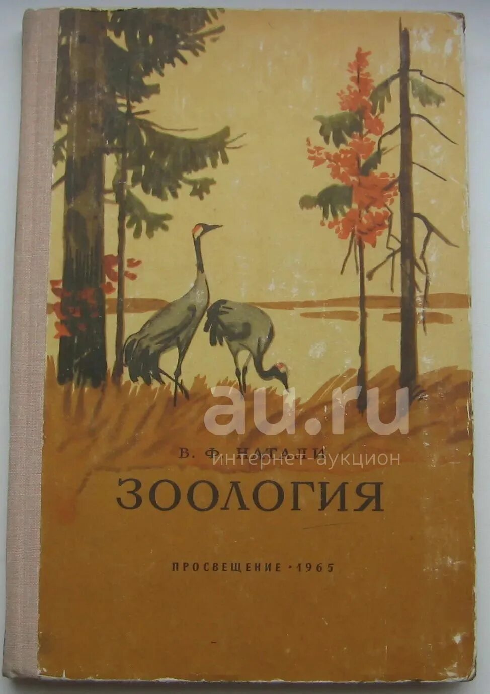 Книги про зоологию. Натали Зоология. Зоология 1973. Книга по зоологии довоенная. Зоология год: 1981 Автор: Лукин е.и..