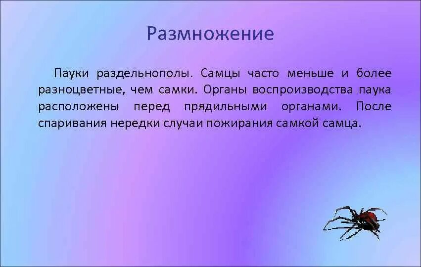 Система размножения паукообразных. Оплодотворение паукообразных. Размножение членистоногих паукообразных. Местообитание паукообразных. Органы размножения пауков.